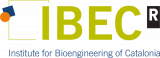 Organisation logo